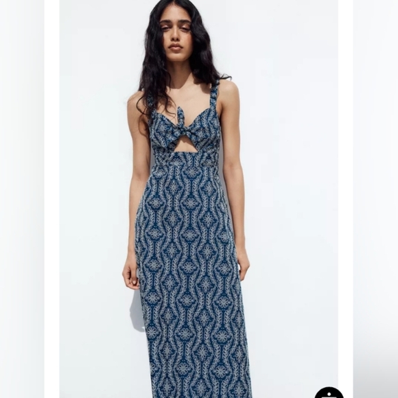 Zara Rubberized Openwork Embroidery Midi Dress - Picture 2 of 9